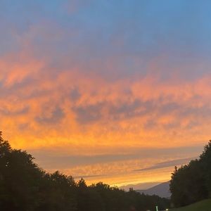 Meet your Posher, Bella